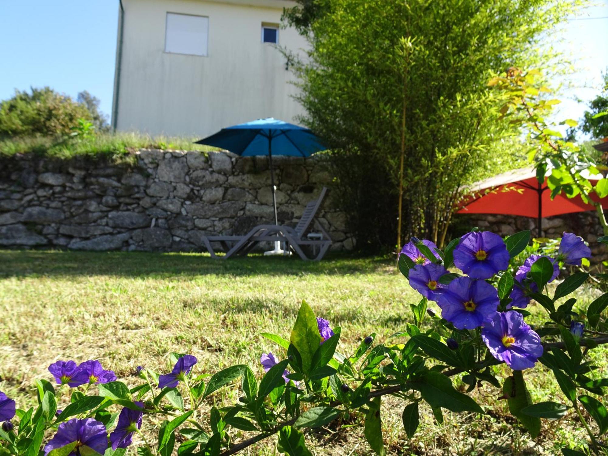 Bed and Breakfast A Casa Com 2 Pereiras Terras de Bouro Esterno foto